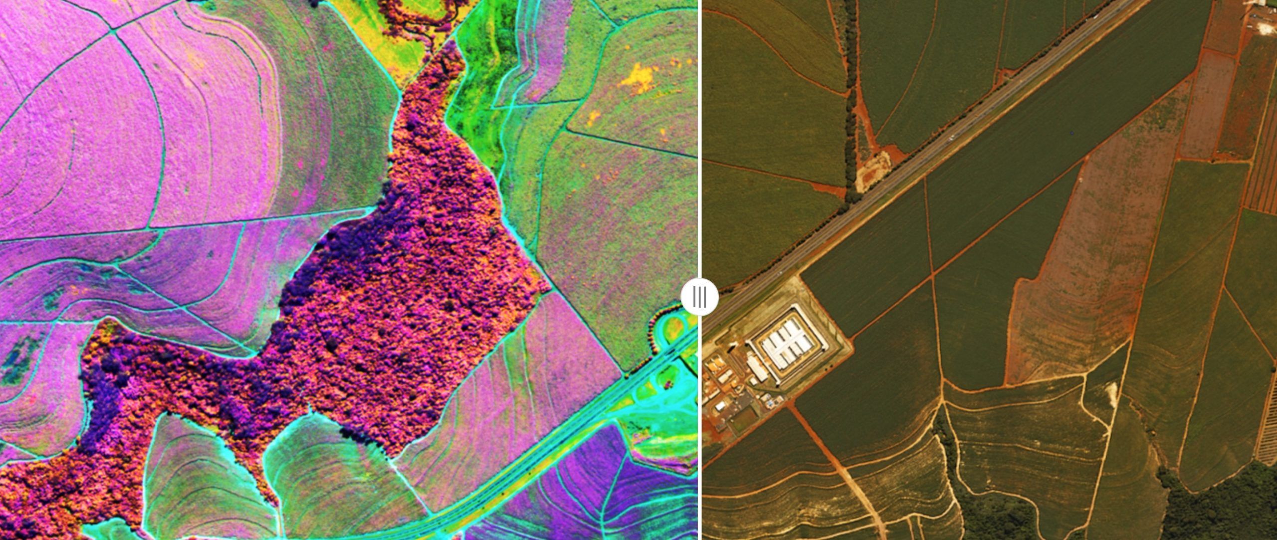 Seeing Beyond the Visible: Hyperspectral Imaging